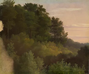 Forest Edge. Study