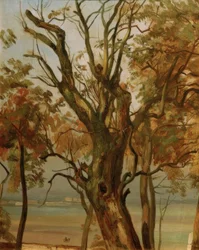 Tree Study in Autumn (Elbe Bank near Dresden)