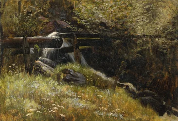 Stream in May