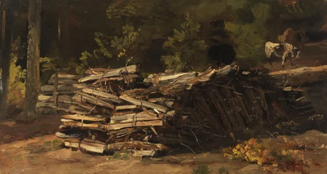 Wooden Pile at the Edge of the Forest