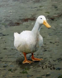 Goose