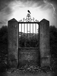 Dark Gate Lightning Crow