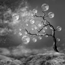 Fantasy Moon Tree