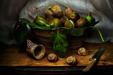 Rustic Fig Still Life
