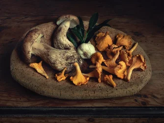 Rustic Mushroom Harvest