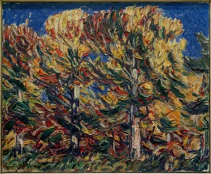 Autumn Forest