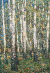 Forest Interior