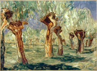 Willows in Spring