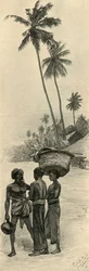 Group of Men, Colombo, Ceylon