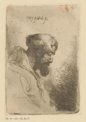 Downward Looking Franciscan