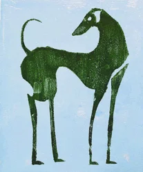Elegant Desert Dog