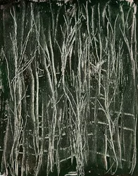 Green Grass
