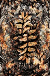 Abstract Autumn Leaves