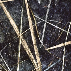 Abstract Frozen Grass