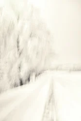 Dreamy Winter Path