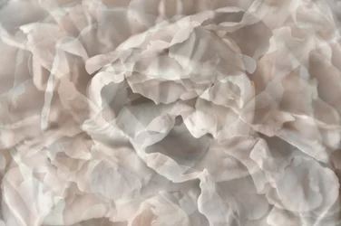 Ethereal Floral Petals