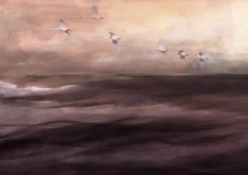Ethereal Swan Flight