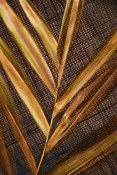 Golden Palm Leaves