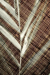 Intricate Leaf Detail