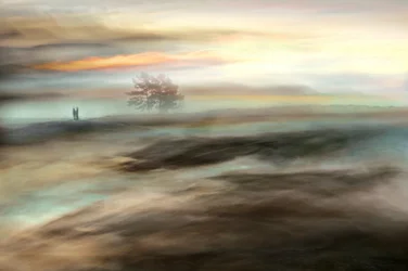 Misty Morning Dream
