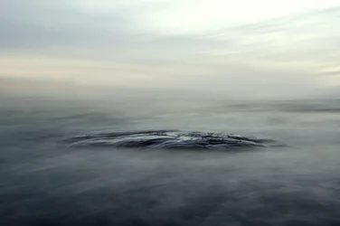 Misty Serene Waters