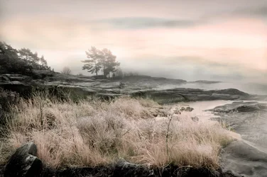 Misty Winter Shore