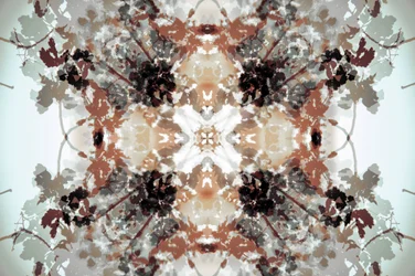 Muted Botanical Kaleidoscope