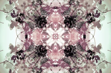 Muted Botanical Symmetry