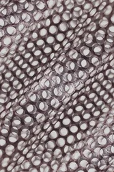 Shimmering Circular Pattern