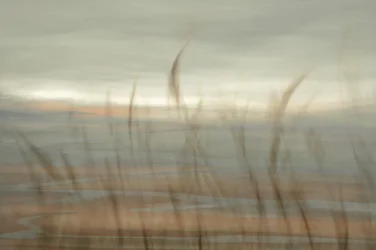 Soft Beach Horizon