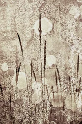 Textured Wild Grass
