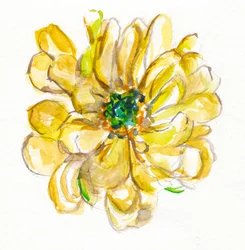 Delicate Yellow Bloom