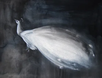 Ethereal White Peacock