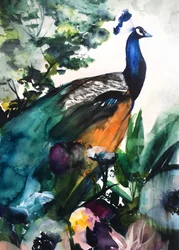 Vibrant Peacock Garden