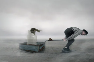 Absurd Snail Journey