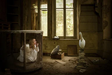 Caged Woman and Pelican