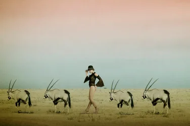 Desert Walk With Oryx