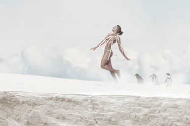 Flying Woman Penguins
