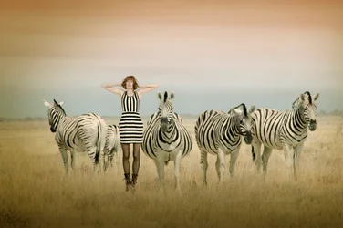 Matching Stripes