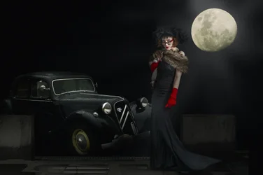 Moonlit Noir Elegance