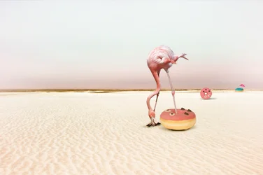 Pink Flamingo Donut Dream