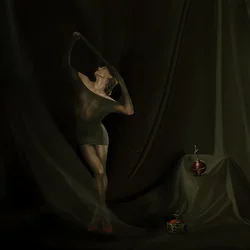 Sheer Fabric Grace