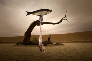 Surreal Desert Fish
