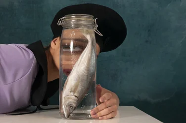 Surreal Fish Gaze