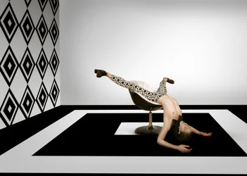Surreal Geometric Pose