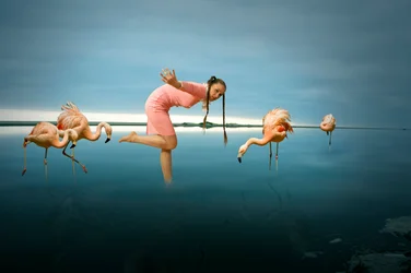 Woman Among Flamingos