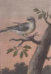 A Bird on a Branch