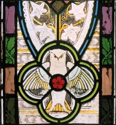 Owl and flower
