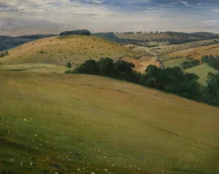 Summer in the Downs