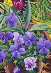 Flowerpots with Pansies, 2007